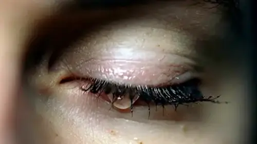 Image to Video